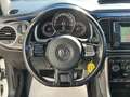 Volkswagen Maggiolino Cabrio 1.2 tsi sound 105cv Bianco - thumbnail 12