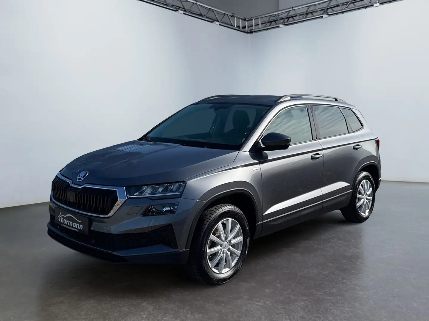 Skoda Karoq Tour 2.0 TDI 4xSitzheizung Navi LED Gris - 2