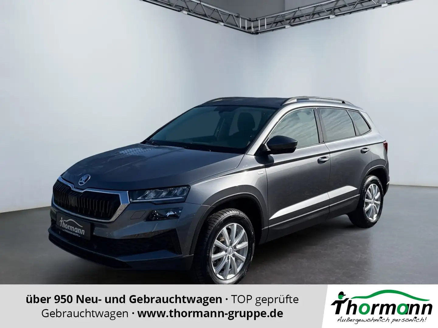 Skoda Karoq Tour 2.0 TDI 4xSitzheizung Navi LED Gris - 1
