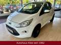 Ford Ka/Ka+ Trend *Tüv 09/2026*ZR gewechselt* Weiß - thumbnail 13