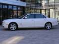 Jaguar XJ8 X350 Saloon Longwheelbase 4.2 V8 Weiß - thumbnail 5