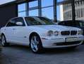 Jaguar XJ8 X350 Saloon Longwheelbase 4.2 V8 Weiß - thumbnail 19