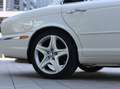 Jaguar XJ8 X350 Saloon Longwheelbase 4.2 V8 Weiß - thumbnail 8