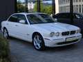 Jaguar XJ8 X350 Saloon Longwheelbase 4.2 V8 Weiß - thumbnail 15