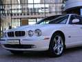 Jaguar XJ8 X350 Saloon Longwheelbase 4.2 V8 Weiß - thumbnail 10