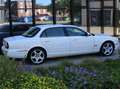 Jaguar XJ8 X350 Saloon Longwheelbase 4.2 V8 Weiß - thumbnail 18