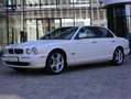 Jaguar XJ8 X350 Saloon Longwheelbase 4.2 V8 Weiß - thumbnail 2