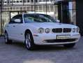 Jaguar XJ8 X350 Saloon Longwheelbase 4.2 V8 Weiß - thumbnail 11