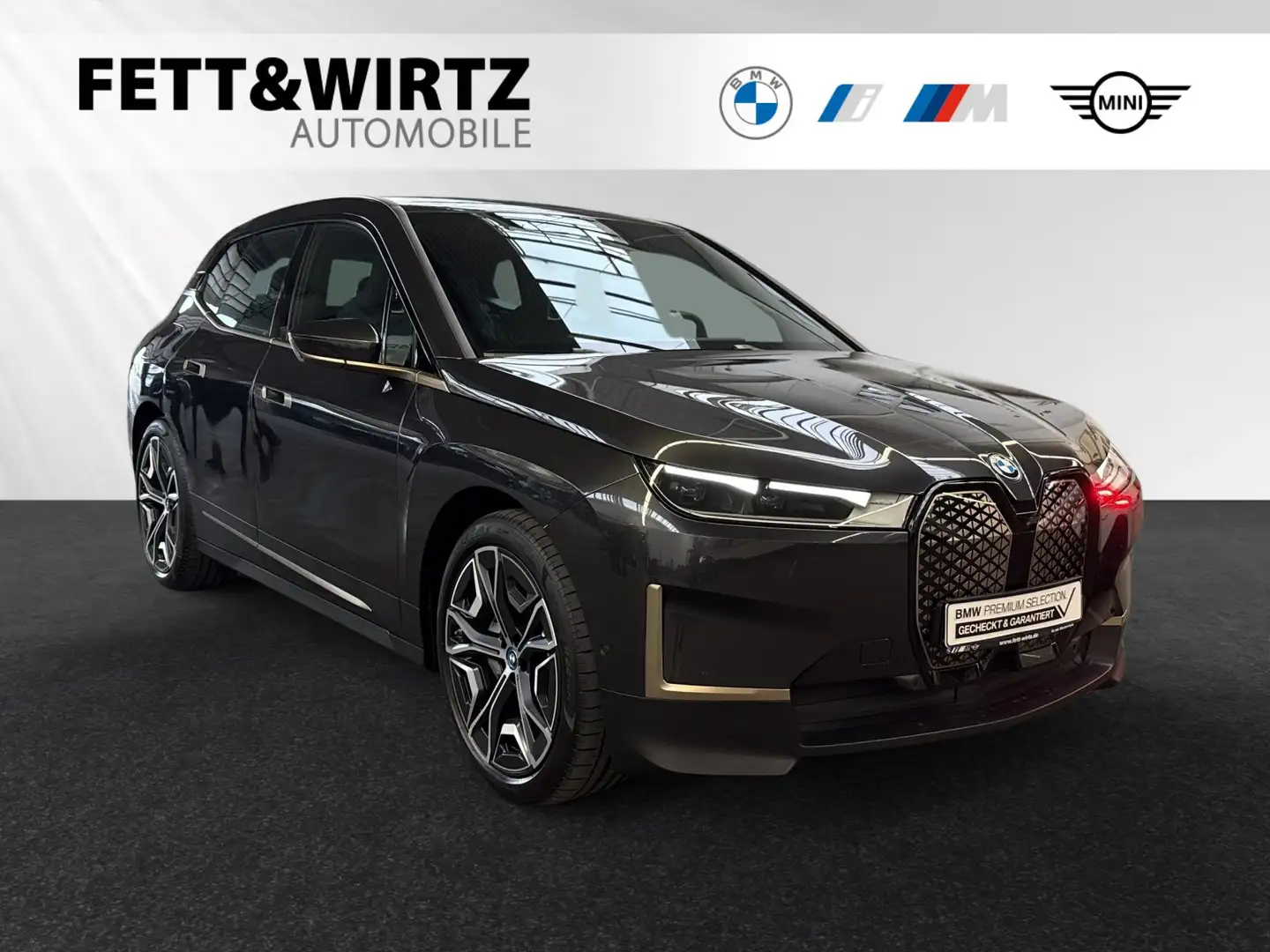 BMW iX xDrive40 AHK|Harman/Kardon|Parkass.+|DAProf. Gris - 1
