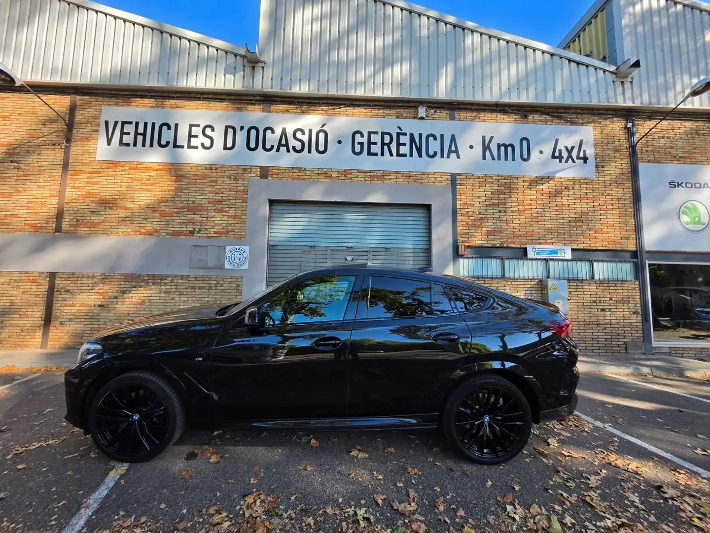 BMW X6 X6 xDrive 30dA (9.75) Negro - 2