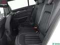 Mercedes-Benz CLS 55 AMG CLS 250 Shooting Brake d 4M 3x AMG H/K,360GRAD Blanco - thumbnail 12