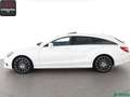 Mercedes-Benz CLS 55 AMG CLS 250 Shooting Brake d 4M 3x AMG H/K,360GRAD Blanco - thumbnail 2