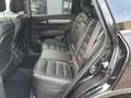 Renault Koleos 2.0 DCI 175 ENERGY INIT PARIS X-TRON 4X4 Schwarz - thumbnail 13