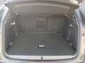 Peugeot 3008 Allure 1.5 BlueHDi 130 +Navi+Kam.+SHZ+SpurH Gris - thumbnail 15