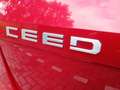 Kia Ceed SW / cee'd SW 1.0 T-GDi 120pk DynamicLine Rood - thumbnail 21