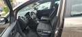 Volkswagen Golf Plus Style Braun - thumbnail 12