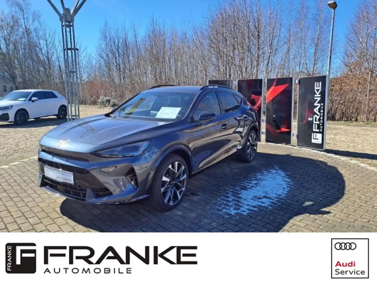 CUPRA Formentor VZ 2.0 TSI 4Drive DSG MATRIX*AHZV*PANO Klima Navi Gris - 1