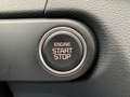 Kia Ceed SW / cee'd SW Spirit 1.6D DCT 7 Technik-Paket Glasdach Kamera Grün - thumbnail 14