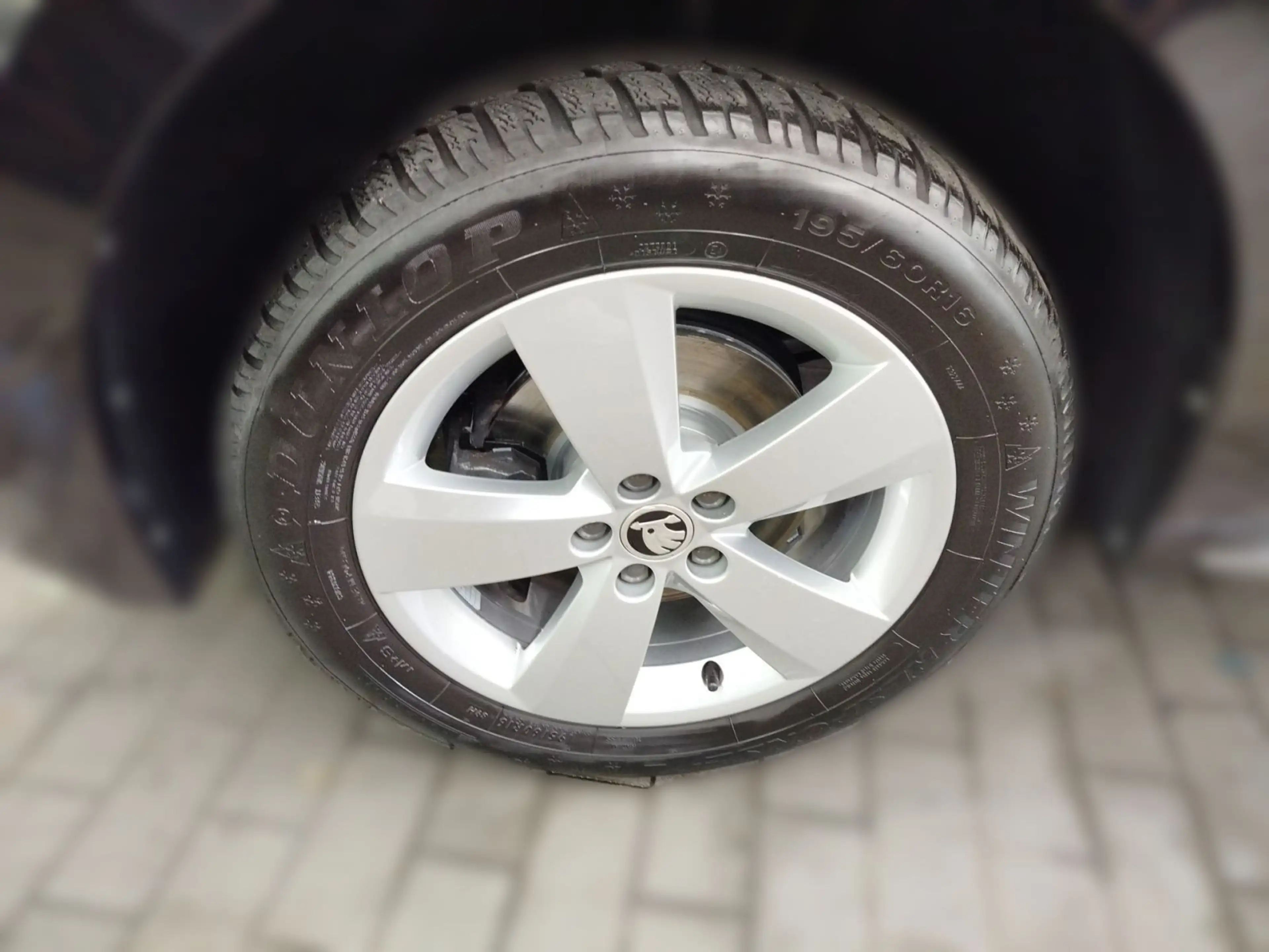 Skoda Kamiq 1.0 TSI DSG Style Navi FrontAssist LaneAss — photo 3