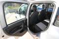 Fiat Panda 1.2 Lounge 69cv | 43.000 km | 2019 Argento - thumbnail 13