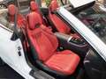 Mercedes-Benz CLE 220 CLE 220 d Cabrio AMG Line Night powerrot Burmest Weiß - thumbnail 8