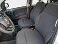 Fiat Panda 1.0 Pandina Mild Hybrid  6-Gang Klima Radio dig... Weiß - thumbnail 5