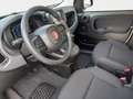 Fiat Panda 1.0 Pandina Mild Hybrid  6-Gang Klima Radio dig... Weiß - thumbnail 4