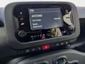 Fiat Panda 1.0 Pandina Mild Hybrid  6-Gang Klima Radio dig... Weiß - thumbnail 8