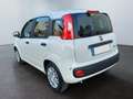 Fiat Panda 1.0 Pandina Mild Hybrid  6-Gang Klima Radio dig... Weiß - thumbnail 1