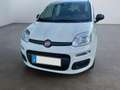 Fiat Panda 1.0 Pandina Mild Hybrid  6-Gang Klima Radio dig... Weiß - thumbnail 3