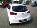 Mazda 2 e-SKYACTIV 90 Homura KAMERA/SHZ/NAVI Weiß - thumbnail 3