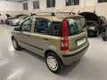 Fiat Panda Panda 1.2 natural power Dynamic Bronzo - thumbnail 6