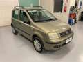 Fiat Panda Panda 1.2 natural power Dynamic Bronzo - thumbnail 7