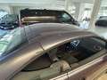 Ford Focus 1.6 Cabrio Trend Violett - thumbnail 20