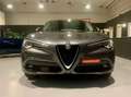 Alfa Romeo Stelvio Stelvio 2.2 Business rwd 160cv auto *PREZZO PROMO* Gris - thumbnail 6