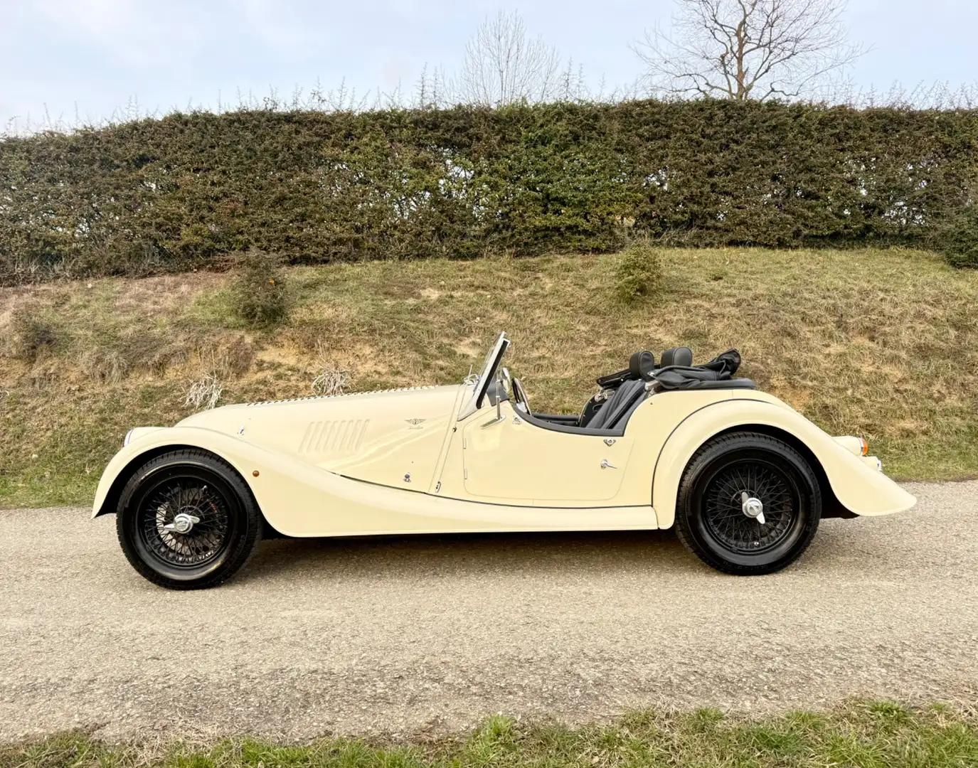 Morgan 4/4 1 Proprietario Beige - 2