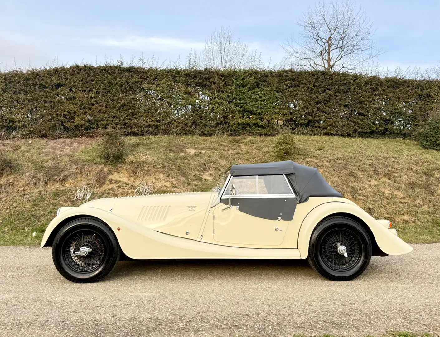 Morgan 4/4 1 Proprietario Beige - 1