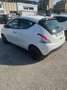 Lancia Ypsilon Ypsilon 1.0 FireFly 5 porte S&S Hybrid Gold Bianco - thumbnail 5