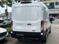 Ford Transit 350 L2H2 Limited   Regalsystem   DAB Weiß - thumbnail 25
