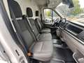 Ford Transit 350 L2H2 Limited   Regalsystem   DAB Blanc - thumbnail 5
