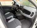 Fiat Panda Panda 1.0 firefly hybrid City Life s Blanco - thumbnail 18