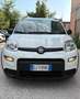 Fiat Panda Panda 1.0 firefly hybrid City Life s Bianco - thumbnail 10