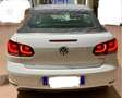 Volkswagen Golf Cabriolet Golf Cabrio 1.9 tdi Highline Bianco - thumbnail 12