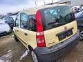 Fiat Panda Panda 1.2 Dynamic Gelb - thumbnail 2