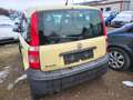 Fiat Panda Panda 1.2 Dynamic Gelb - thumbnail 4