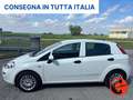Fiat Punto 1.3 MJT 95 CV N1-FURGONE-AUTOCARRO 4 POSTI+IVA- Bílá - thumbnail 3