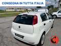 Fiat Punto 1.3 MJT 95 CV N1-FURGONE-AUTOCARRO 4 POSTI+IVA- Білий - thumbnail 7
