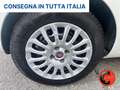 Fiat Punto 1.3 MJT 95 CV N1-FURGONE-AUTOCARRO 4 POSTI+IVA- Beyaz - thumbnail 26