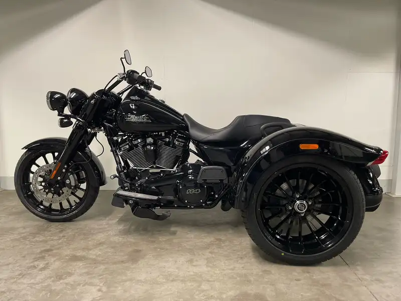 Harley-Davidson Trike - foto 4