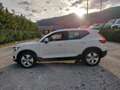 Volvo XC40 XC40 D3 Geartronic Momentum Bianco - thumbnail 5